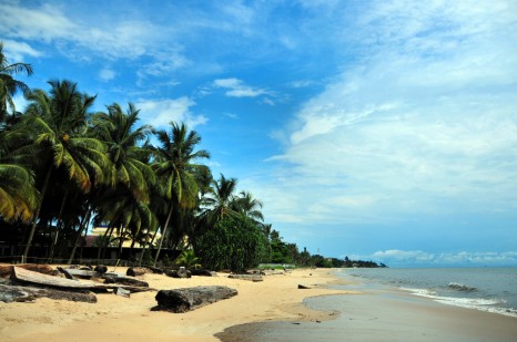 Libreville, Estuaire Province, Gabon: coconut trees and golden sand - Tropicana beach - Quartier Tahiti - photo by M.Torres