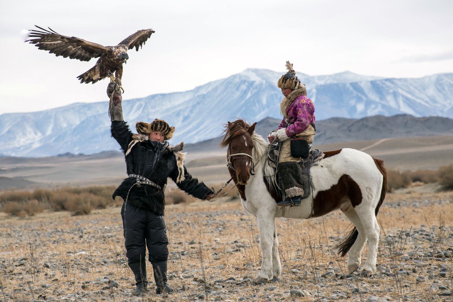 Eagle Hunting Mongolia