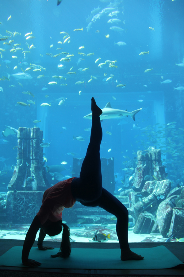 Yoga in The Lost Chambers Aquarium - Atlantis The Palm 8 (002)