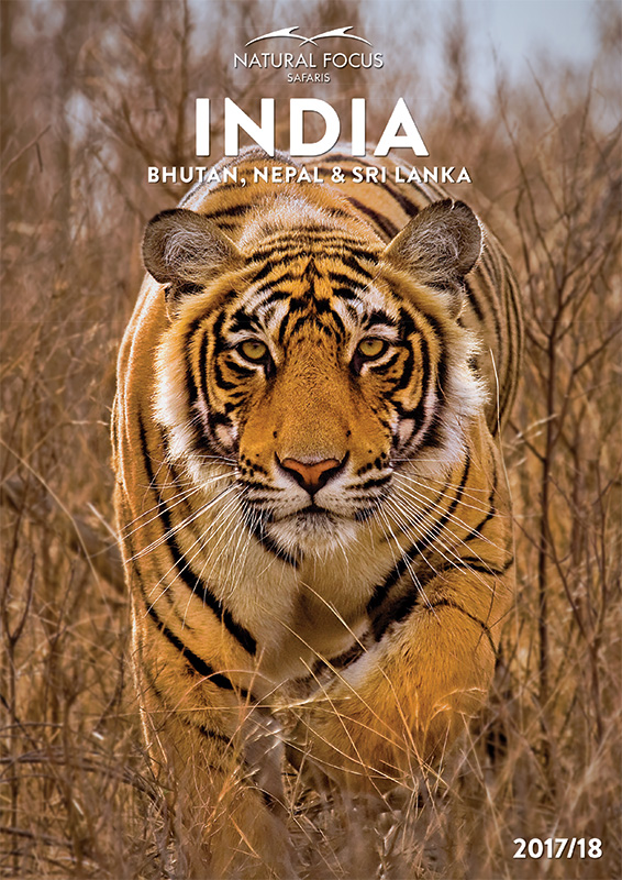 India-Cover-2017-18