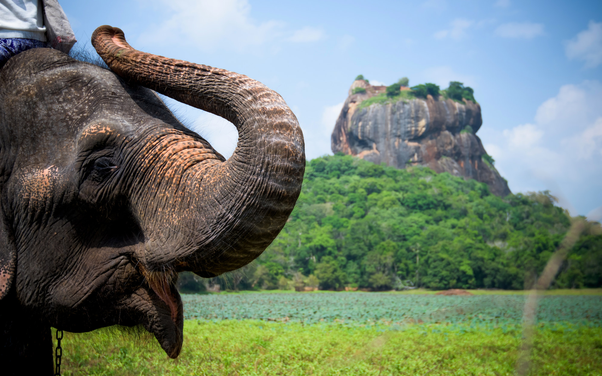 Sri lanka - Sigiriya