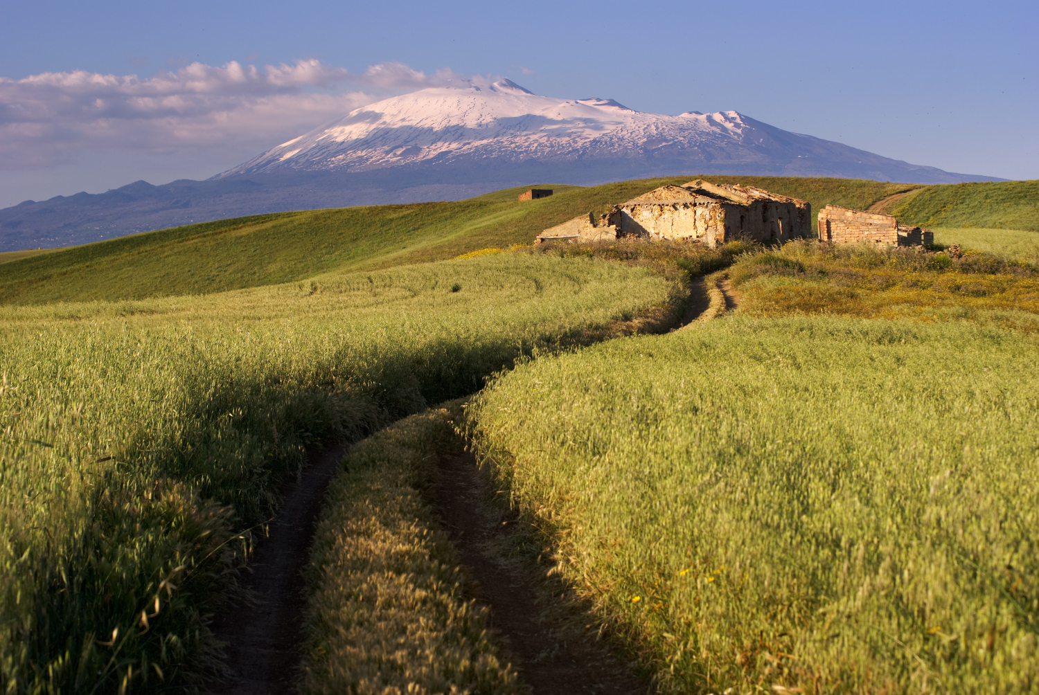 Italy_track_cross_cereal_field_on_background_Etna_shutterstock_30887413sml