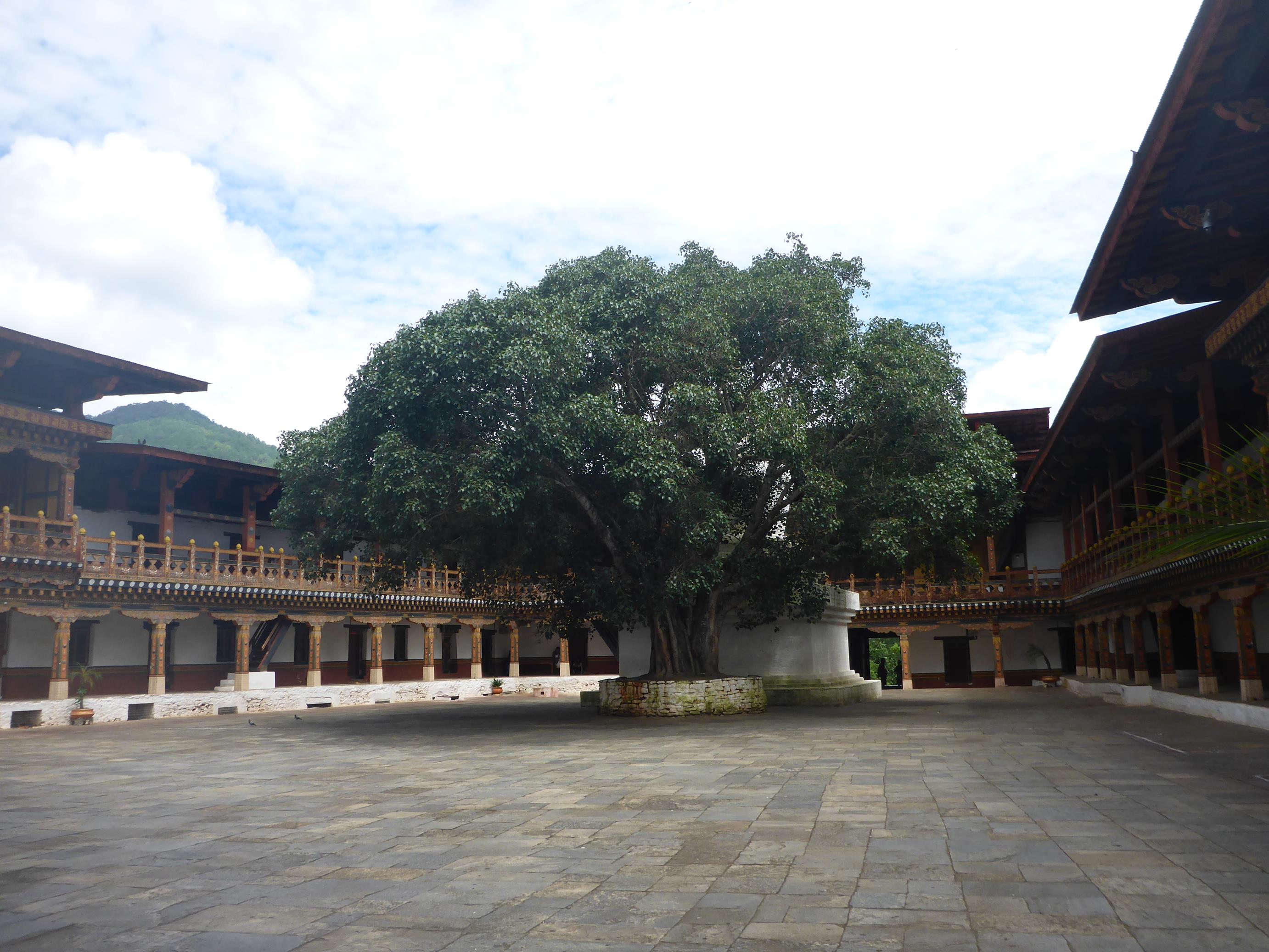 Punakha Dzong_OTG