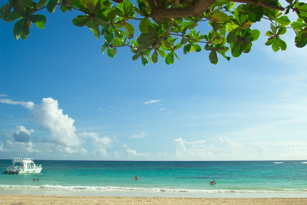Beach in Punta Cana, Dominican Republic.
