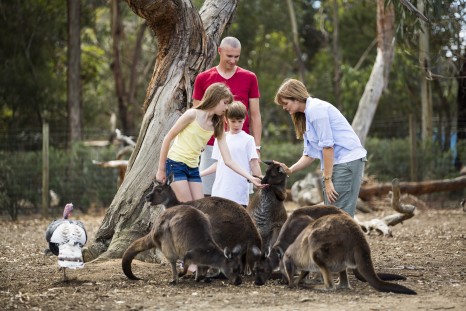 Family Fun on Kangaroo Island 2