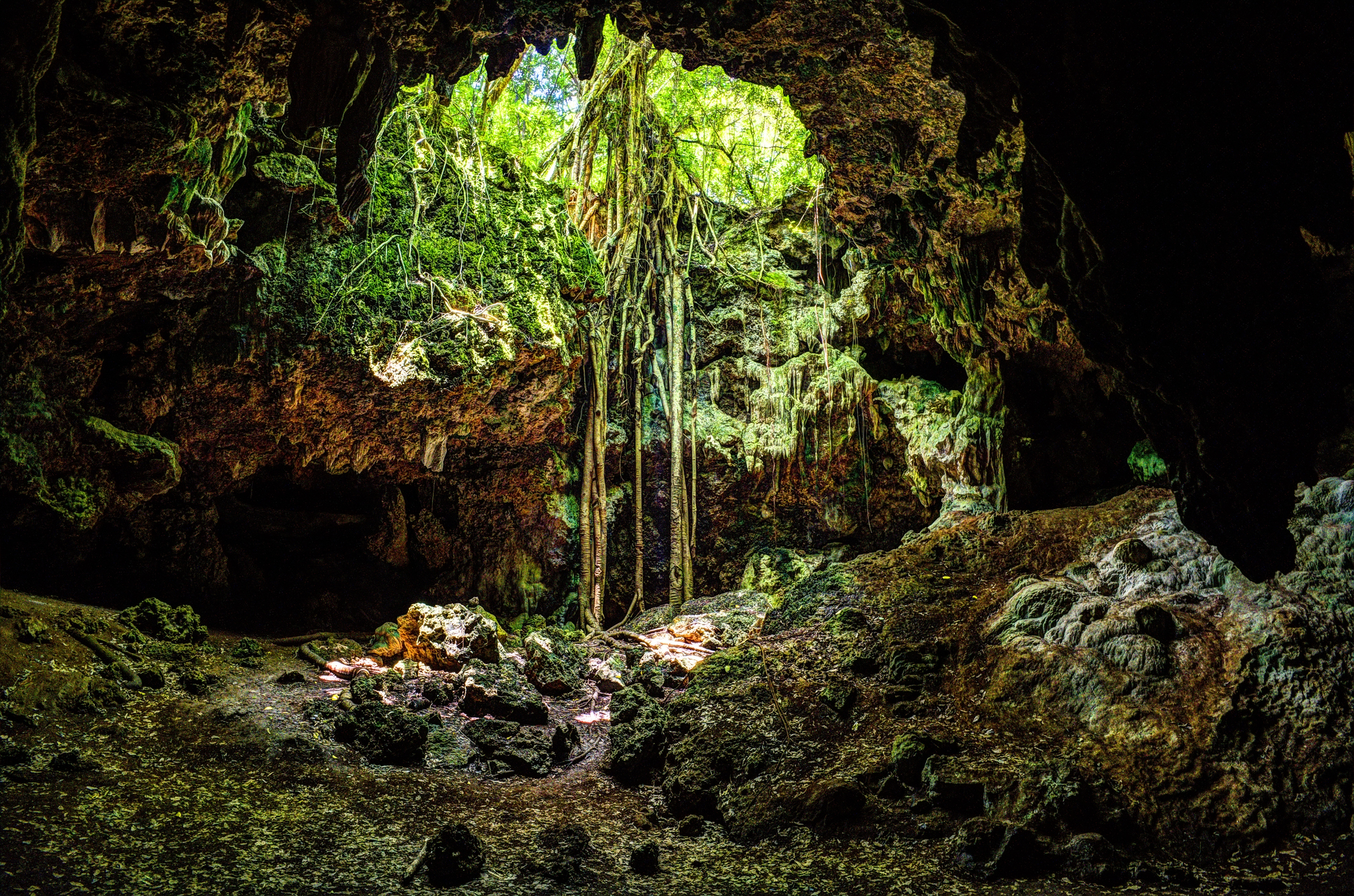 Island Cave - Isle of Pines, New Caledonia