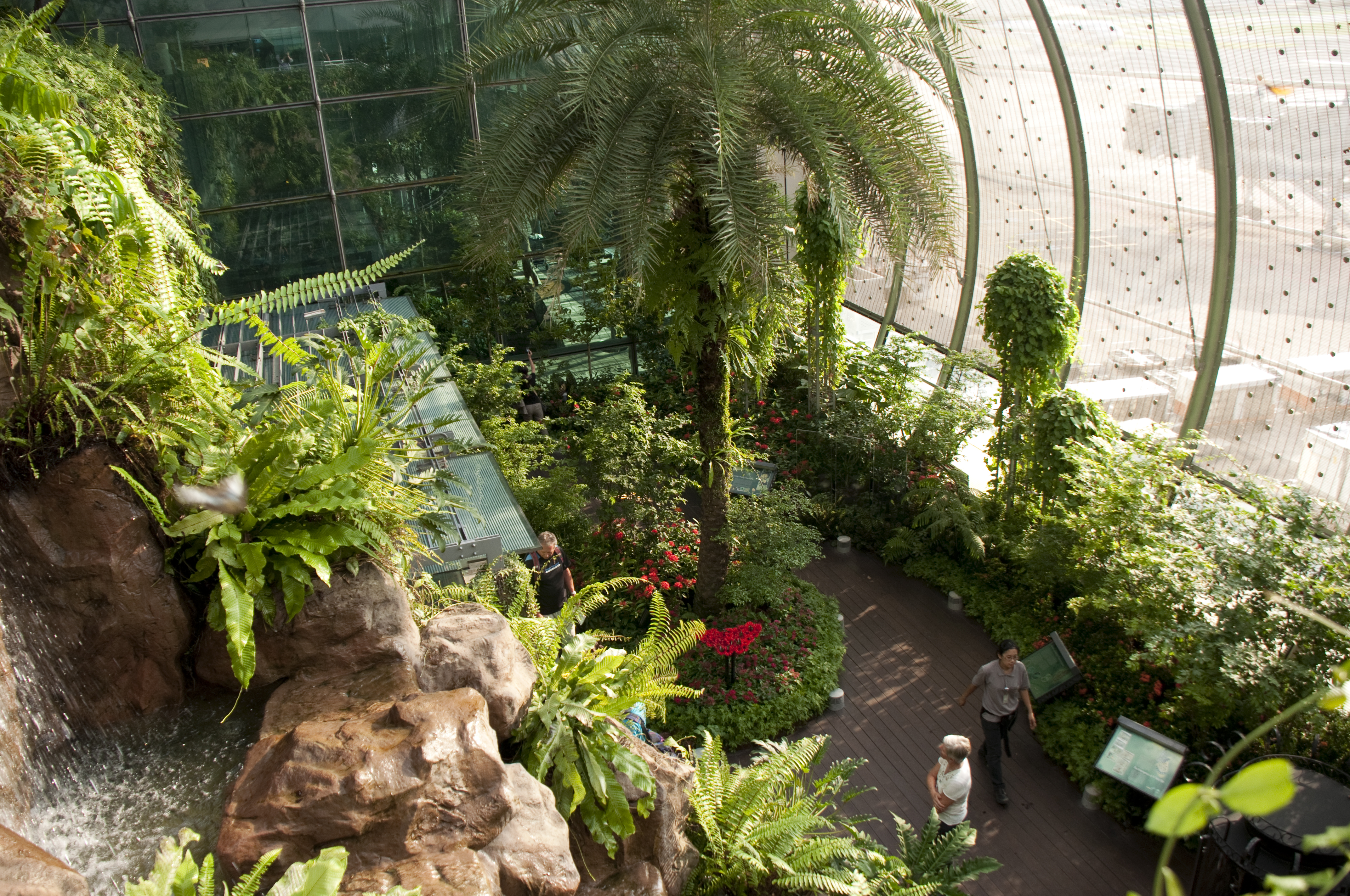 It S An Airport In A Garden 10 Things You Need To Know About Changi Travel Weekly
