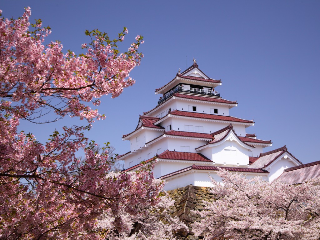 Japan - Cherry-blossom-and-castle--Bucket-List-279851450458120
