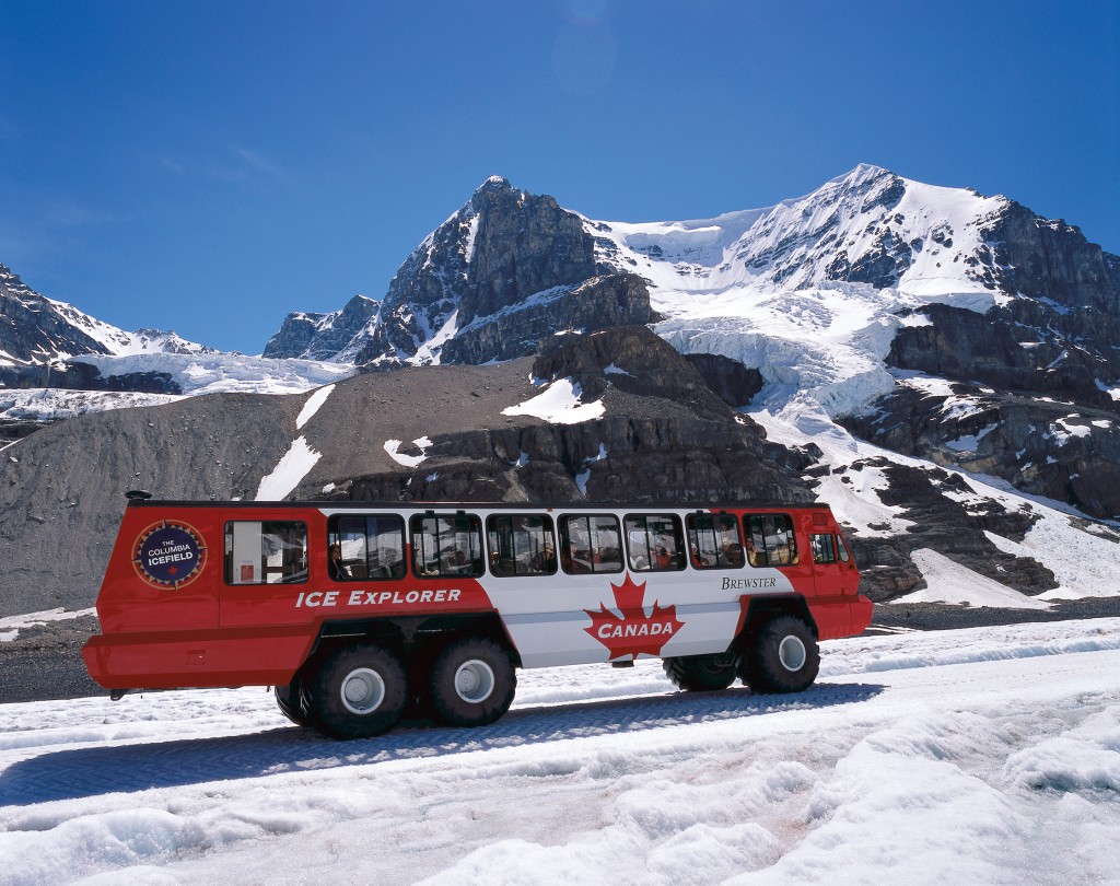 Travelmarvel Brewster-Glacier-Adventure-Ice-Explorer