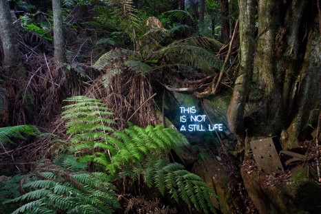 Corrie Furner_This is not a Still Life. Image by Keith Maxwell (Sculpture at Scenic World)