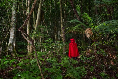 Damian Castaldi & Solange Kershaw, Into the Woods Red Mountain Hood. Image by Keith Maxwell (Sculpture at Scenic World)