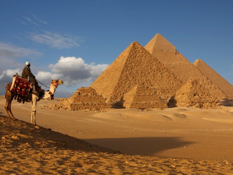 Camel and pyramids (On The Go Tours)