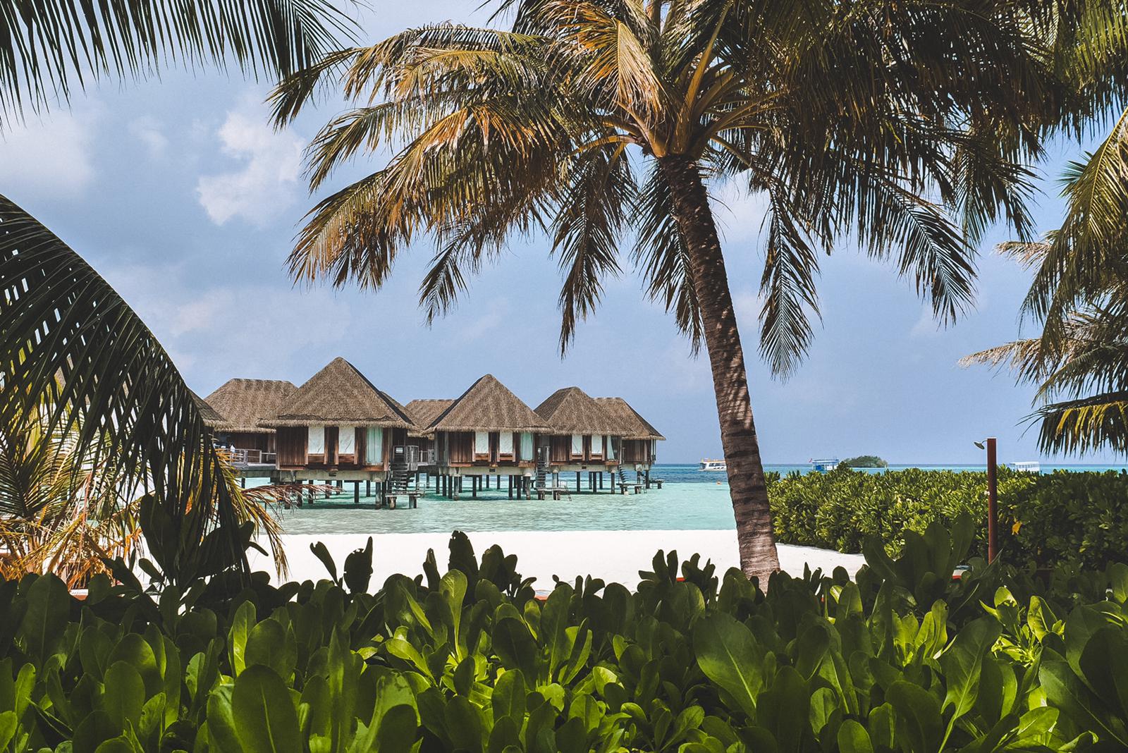 2019 Club Med VIP Trip_Maldives - Credit_ Matt Leedham (1)