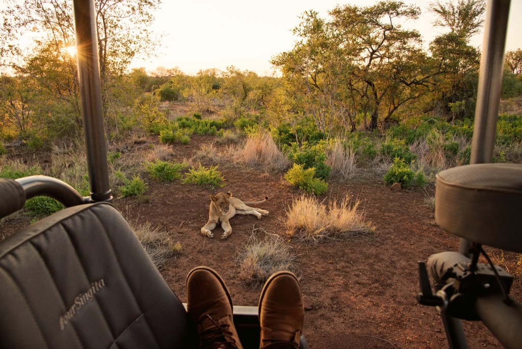 On safari in Kruger National Park