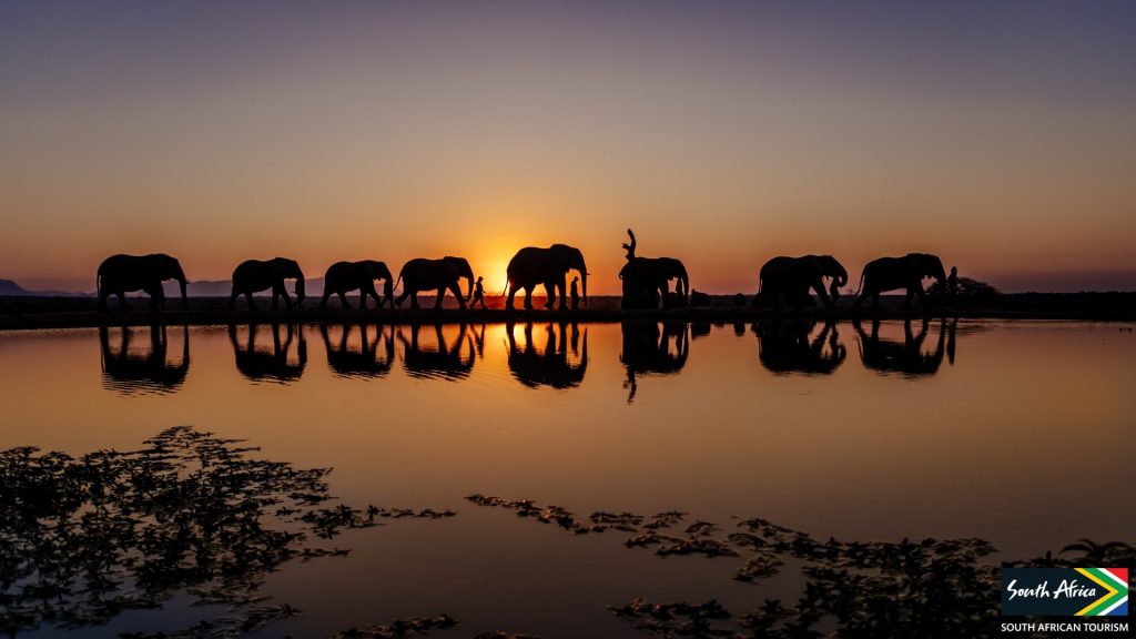 african safari zoom background